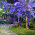 Уличная лазерная установка PartyMaker Garden RGB