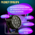 Светодиодный ультрафиолетовый мини светильник PARTY MAKER UV LED PAR 12x1w