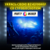 Светодиодный стробоскоп PartyMaker King Kong Strobe Light White 4P