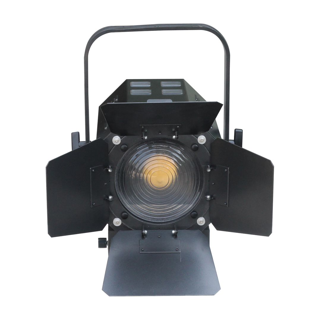 Театральный прожектор SHOWLIGHT SL-300V-W