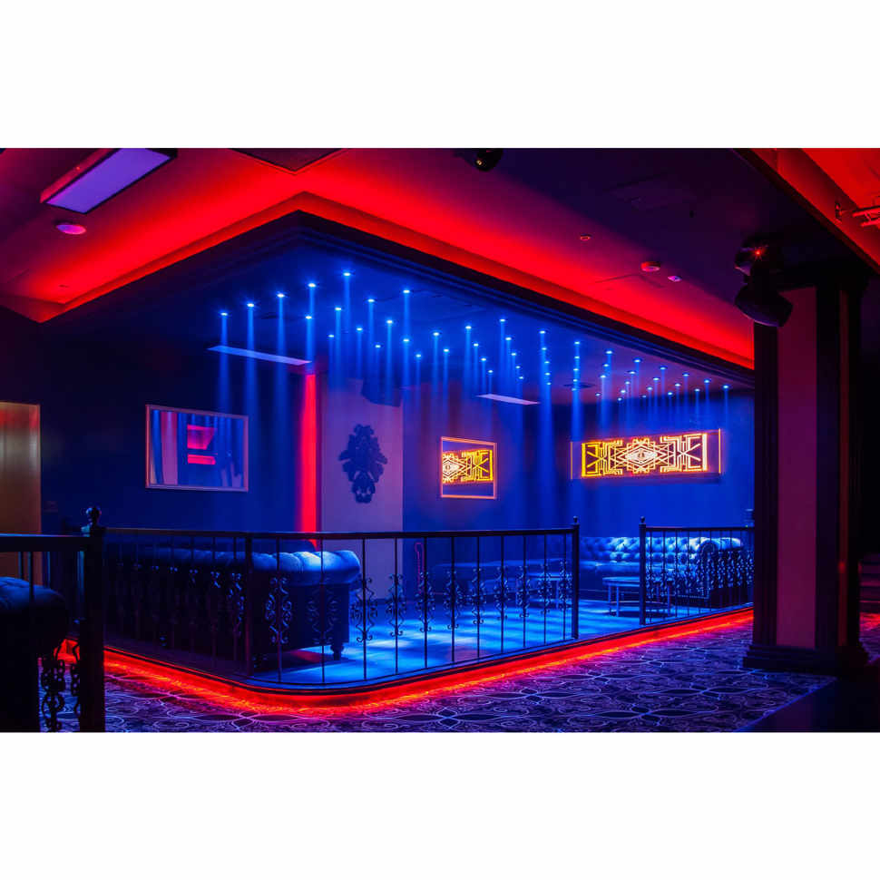 Прожектор Elation ELAR Q1