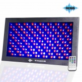 LED панель ROSS RC LED PANEL 288