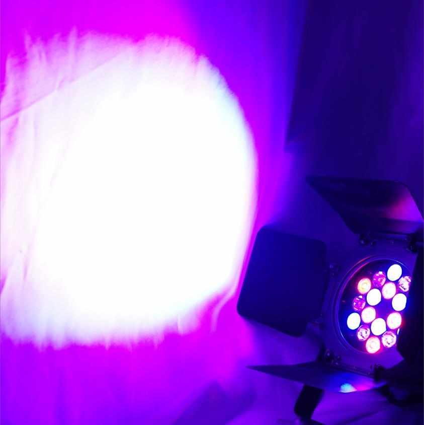 Прожектор Ross Triled PAR RGB 18x3w