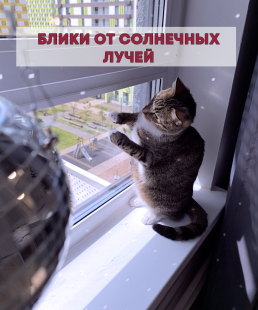 Зеркальное подвесное кашпо в форме диско-шара, 12 см серебряное