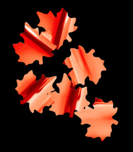 Конфетти металлизированное кленовые листья 5см красные 50гр