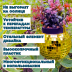 Зеркальное подвесное кашпо в форме диско-шара, 12 см золотое